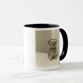 Mug Chien de Terrier utilisant le collier protecteur (Devant droit)