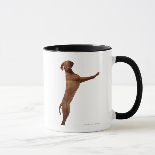 Mug Chien de Vizsla (Droite)