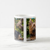 Mug Chien du Yorkshire Terrier (Centre)