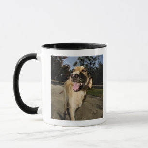 Mug Chien heureux fonctionnant autour de l'exercice