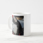 Mug Chien husky avant une course, Canada (Devant gauche)