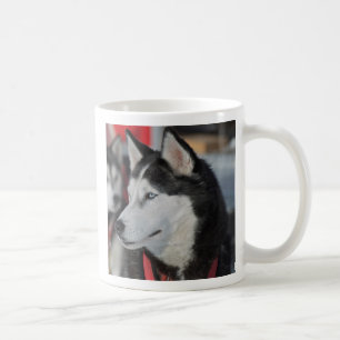 Mug Chien husky avant une course, Canada