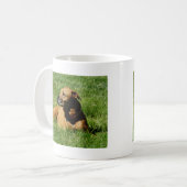 Mug chien, mélange de pitbull/boxeur (Devant gauche)
