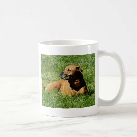 Mug chien, mélange de pitbull/boxeur (Droite)