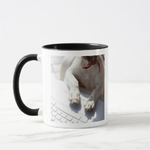 Mug Chien mettant ses mains sur un ordinateur portable