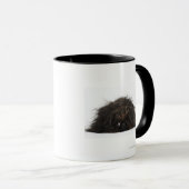 Mug Chien noir de Pekingese se couchant (Devant droit)