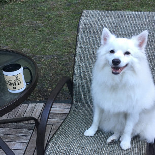 Mug Chien Paw Typographie Café Lover's Cute Specialty