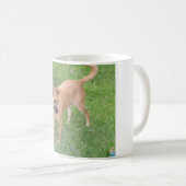 Mug chien plein 2.png de la Caroline (Devant droit)