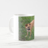 Mug chien plein 2.png de la Caroline (Devant gauche)