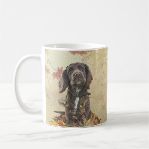 Mug Chien spaniel spaniel cocker au chocolat