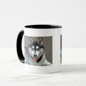 Mug Chiens de Malamute d'Alaska (Devant gauche)