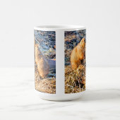 MUG CHIENS DE PRAIRIE (Centre)