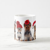 Mug Chiens De Terrier De Yorkshire Avec Casquettes De  (Centre)