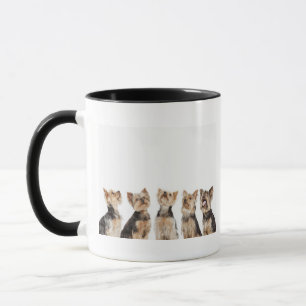 Mug Chiens identiques se reposant ensemble