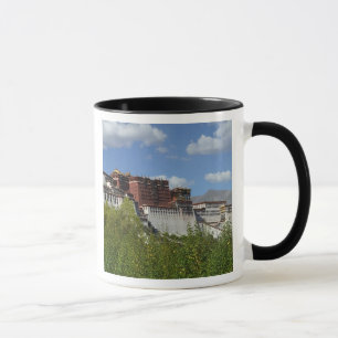 Mug Chine, Tibet, Lhasa, Palais Potala 3