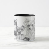 Mug Chinois arrêté (Centre)