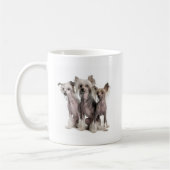 Mug Chinois Crested (Gauche)