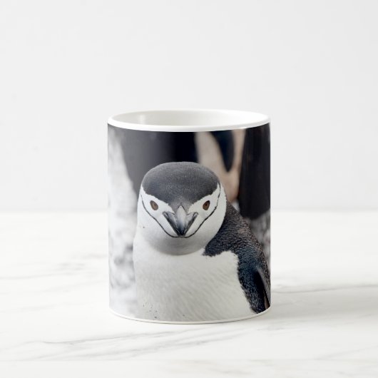 MUG CHINSTRAP PENGUIN (Centre)