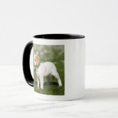 Mug Chiot 3 (Devant gauche)