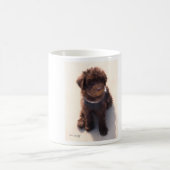 MUG CHIOT AUSTRALIEN DE LABRADOODLE (Centre)