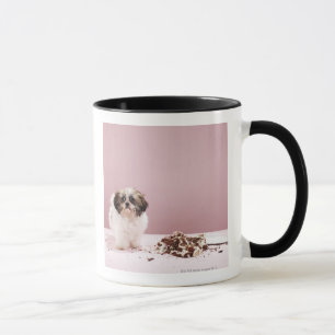 Mug Chiot avec le gâteau sur le plancher