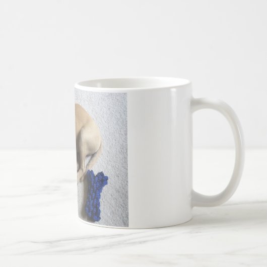Mug chiot de cabot de Noir-bouche avec le jouet bleu (Droite)