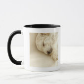 Mug Chiot de caniche de sommeil (Gauche)