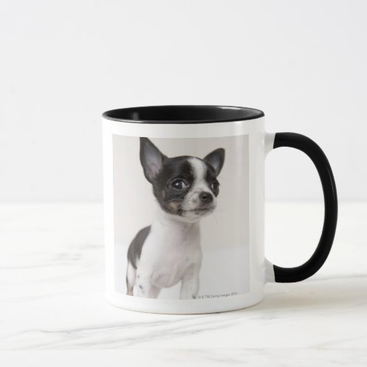 Mug Chiot de Chihuhua se tenant sur le tissu blanc (Droite)
