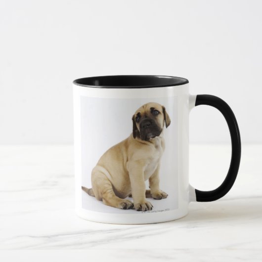 Mug Chiot de great dane se reposant dans le studio (Droite)