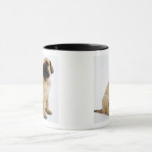 Mug Chiot de great dane se reposant dans le studio (Centre)