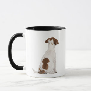 Mug Chiot de Jack Russell Terrier (3 mois)