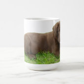 Mug Chiot de laboratoire de chocolat avec l'attitude (Centre)