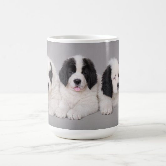 Mug Chiot de Landseer (Centre)