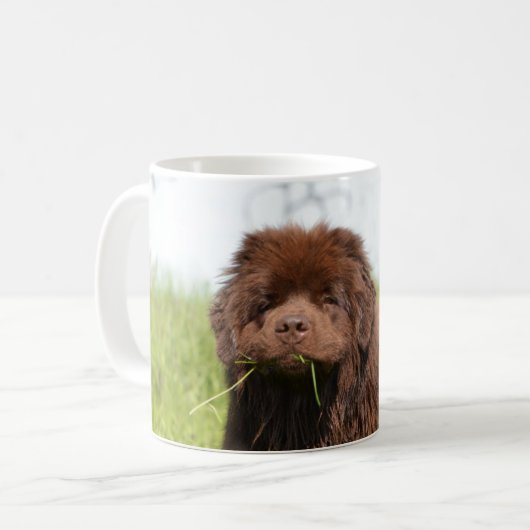 Mug Chiot de Terre-Neuve (Devant gauche)