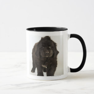 Mug Chiot de Terre-Neuve, tir de studio