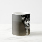 Mug chiot malamute d'Alaska 3 (Centre)