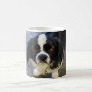 Mug chiot mignon