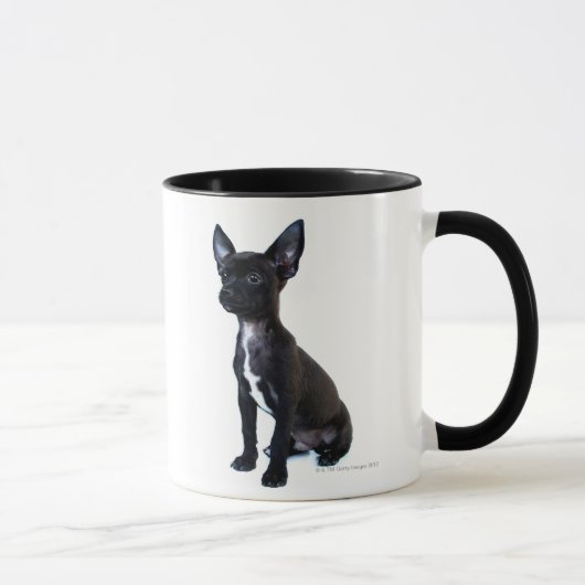 Mug Chiot noir de chiwawa (Droite)