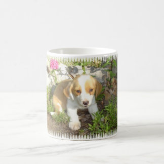 Mug chiot secouru