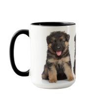 Chiots Berger Allemand