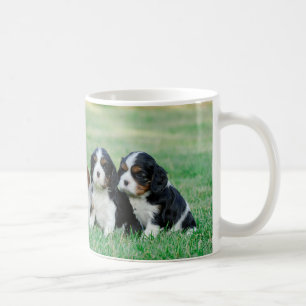 Mug Chiots cavaliers d'épagneul du Roi Charles