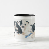 Mug Chiots de Boston Terrier (Centre)