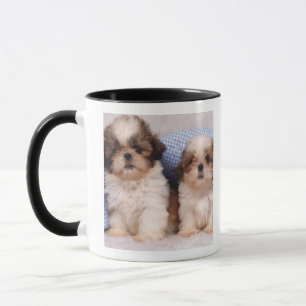 Mug Chiots de Shih Tzu sous une couverture vérifiée