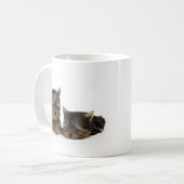 Mug Chiots du Yorkshire Terrier (Devant gauche)
