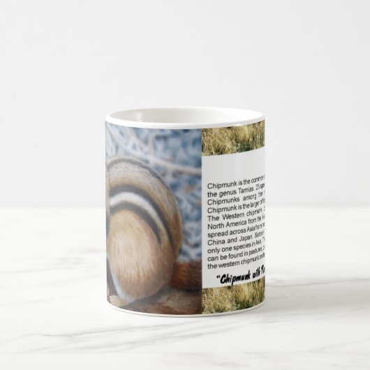 Mug Chipmunk (Centre)