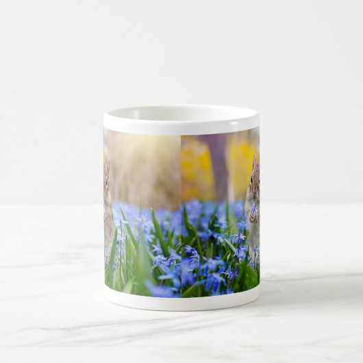 Mug Chipmunk (Centre)