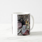Mug Chipmunk dans le parc national des Glaciers (Devant droit)