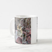 Mug Chipmunk dans le parc national des Glaciers (Devant gauche)
