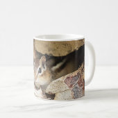 Mug Chipmunk dans une pile de bois (Devant droit)