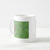 Mug Chipmunk.JPG (Devant gauche)